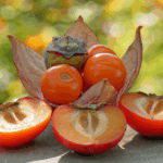 자연 치유력을 높이는 생활 습관으로 건강한 삶을 살기