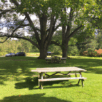 나트랑 마사지 문화의 매력과 여행객들에게 인기 있는 이유 탐구하기