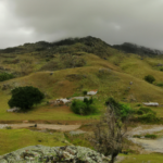 제주오피의 매력과 이유 – 제주 방문 시 많은 이들이 오피를 찾는 진짜 이유
