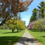 오피뷰 추천 업체 선택 시 알아야 할 핵심 기준 5가지